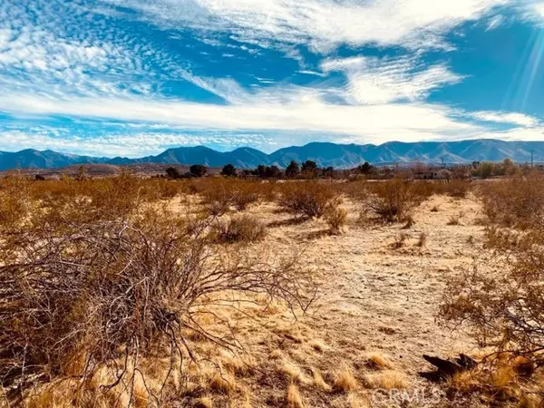 Pearblossom, CA 93553,135 E 135 ST E AVE