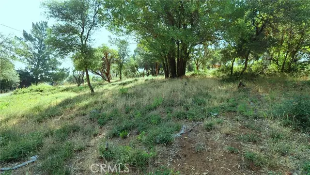 Kelseyville, CA 95451,9523 Tenaya WAY