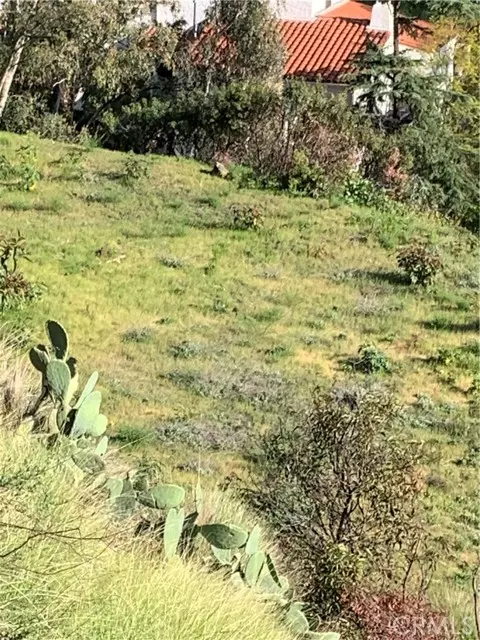 Glendale, CA 91202,1 NESMUTH