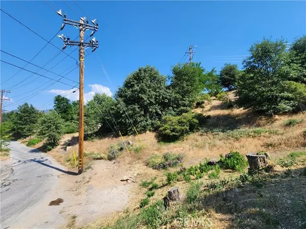 Running Springs, CA 92382,2344 Deep Creek DR