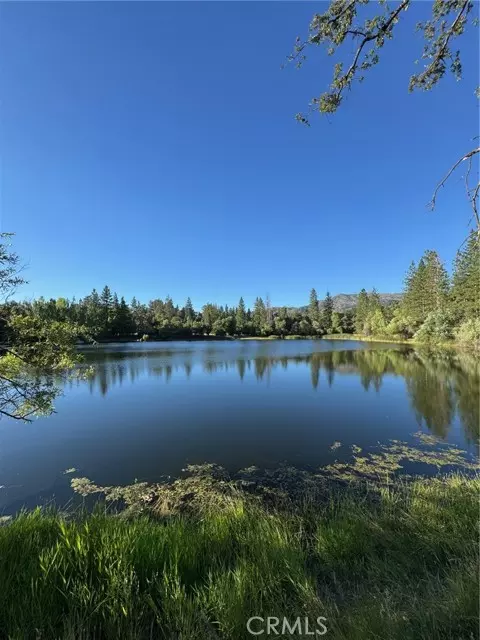 Mariposa, CA 95338,5615 Silver Strand FALL