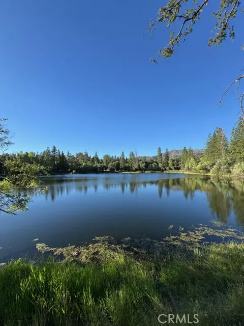 Mariposa, CA 95338,5615 Silver Strand FALL