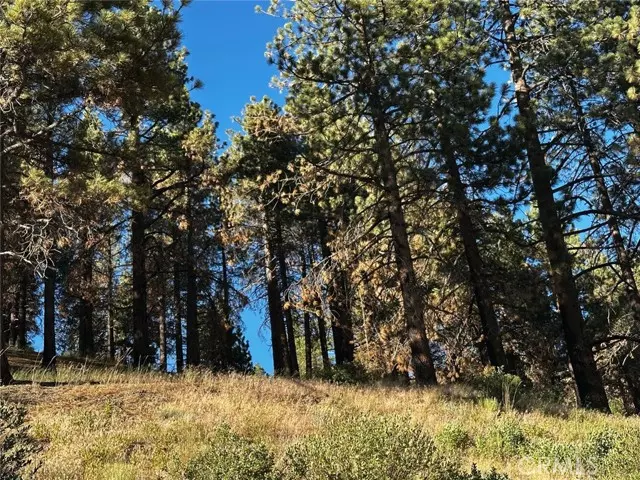 1 Conway Dr DR, Running Springs, CA 92382