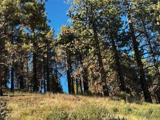 Running Springs, CA 92382,1 Conway Dr DR