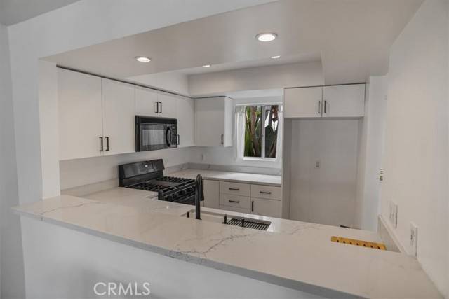 North Hollywood, CA 91601,11230 Peach Grove ST 206