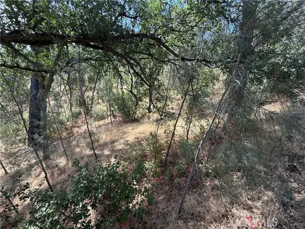 Corning, CA 96021,16305 Hillcrest DR