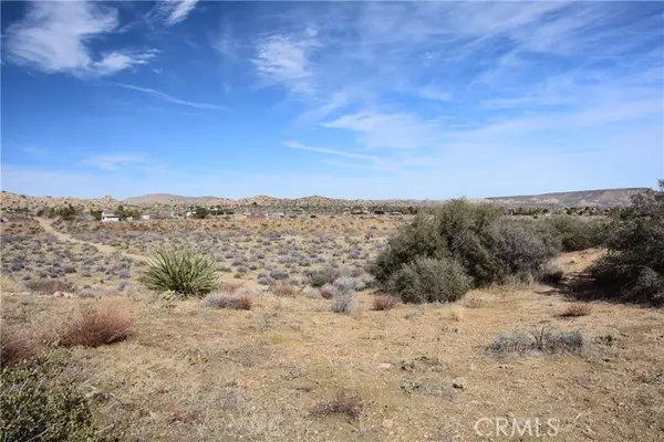 Pioneertown, CA 92268,0 Tumbleweed TRL