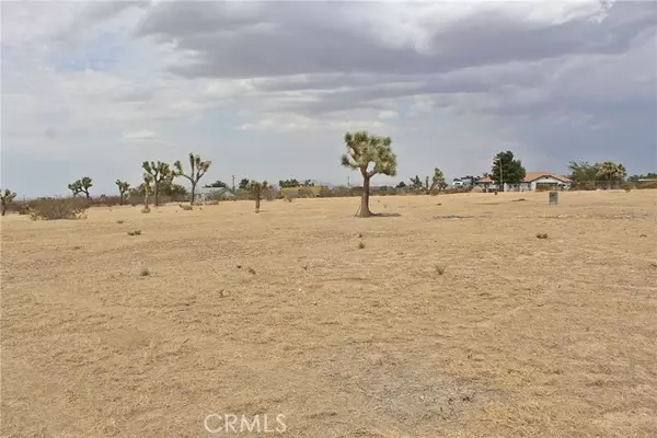 Phelan, CA 92371,111 La Mirada RD
