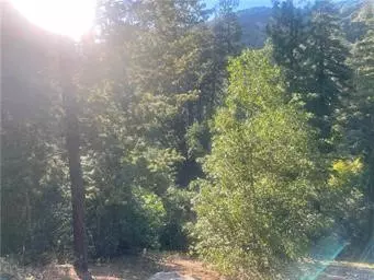 0 Elder DR, Cedar Glen, CA 92321