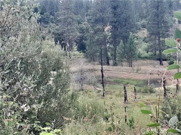 Oroville, CA 95965,3979 Yellow Wood RD