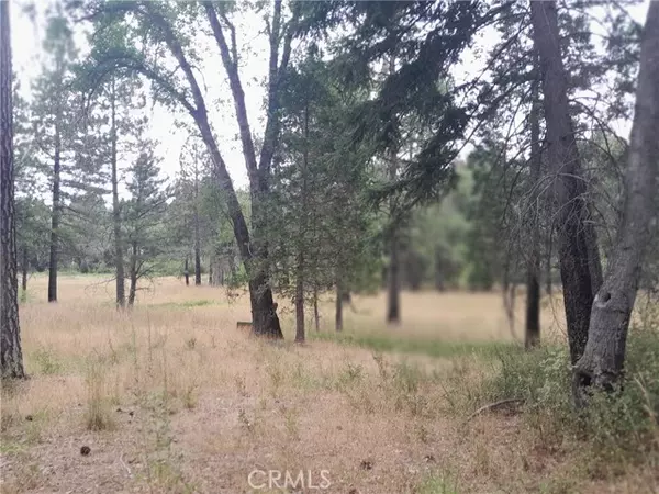 Oroville, CA 95965,3979 Yellow Wood RD