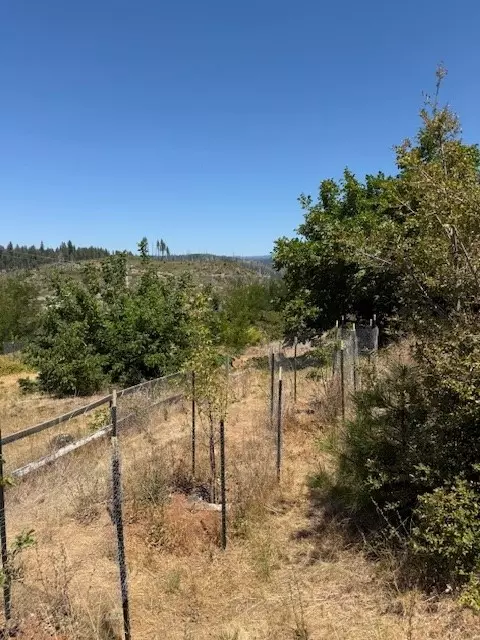 Magalia, CA 95954,13815 Glover LN