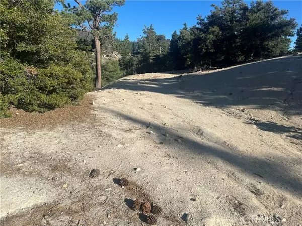 Arrowbear, CA 92382,0 Hardy DR