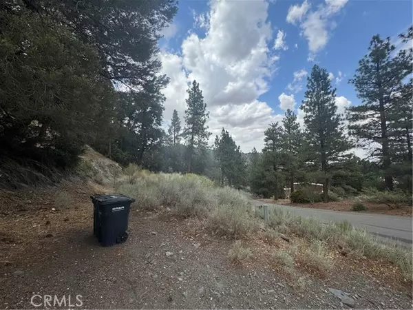 Wrightwood, CA 92397,1772 Ash RD