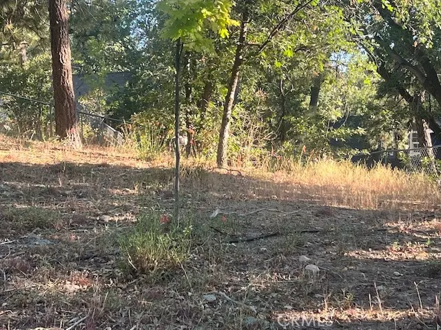 Arrowbear, CA 92382,0 Hardy