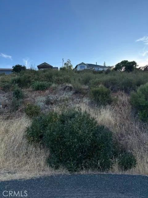 Kelseyville, CA 95451,5541 Sioux CT