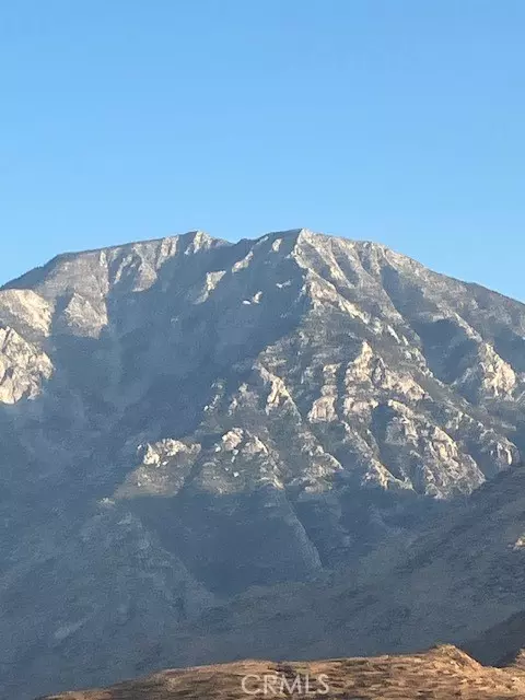 Whitewater, CA 92282,13388 Fremontia