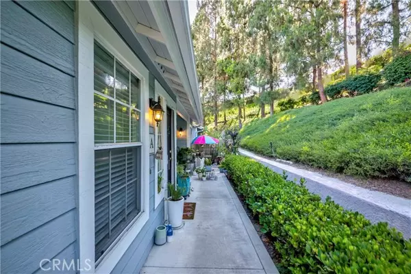 Aliso Viejo, CA 92656,23412 Pacific Park DR 6A