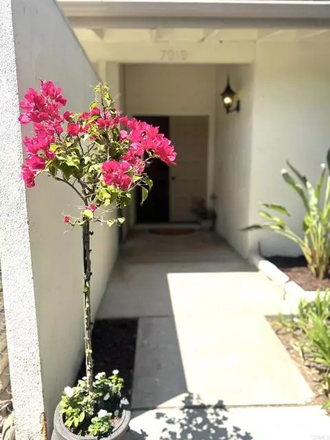 Carlsbad, CA 92009,7019 Estrella De Mar RD