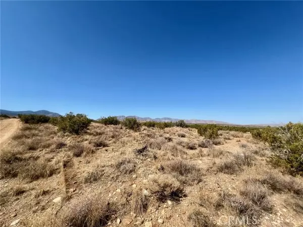 Llano, CA 93544,185 Avenue Y