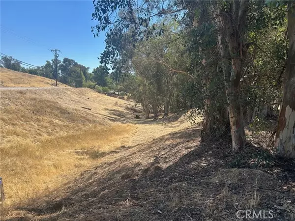 Lake Elsinore, CA 92530,0 TERETICORNIS AVE,
