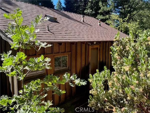 Angelus Oaks, CA 92305,6020 Lake DR