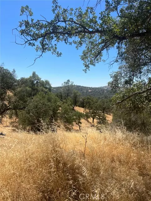 0 Deep Forest DR, Coarsegold, CA 93614