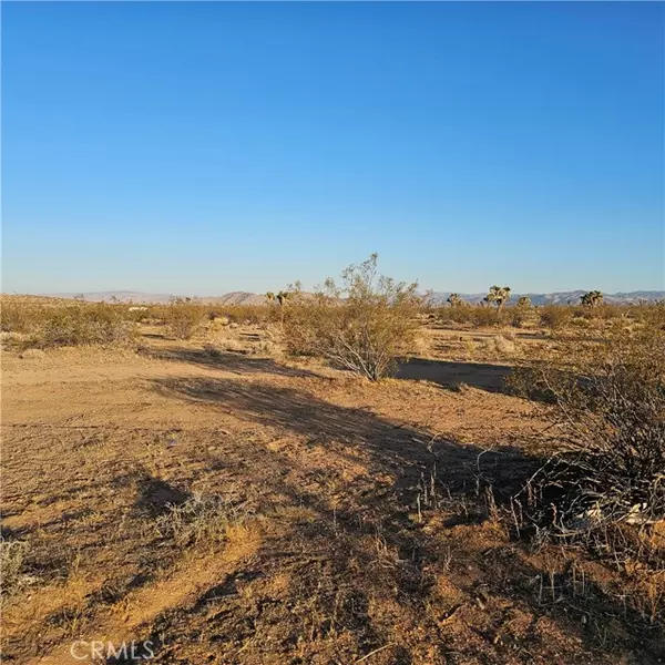 Yucca Valley, CA 92284,1234 El Rancho