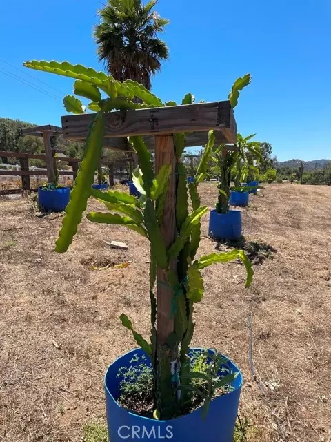 Temecula, CA 92590,2 Via Vaquero