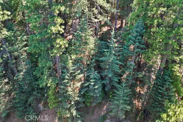 Blue Jay, CA 92317,0 Ca-189