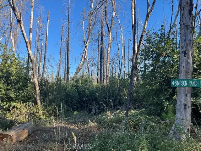 0 Bay Ranch RD, Berry Creek, CA 95916