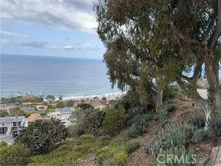 Laguna Beach, CA 92651,31204 Ceanothus DR