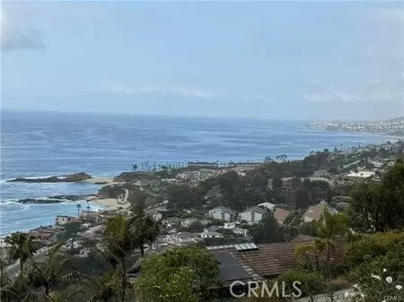 Laguna Beach, CA 92651,31204 Ceanothus DR