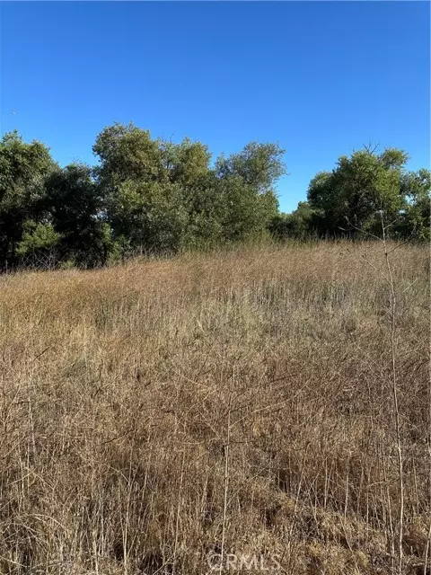 Temecula, CA 92596,0 Mazoe ST