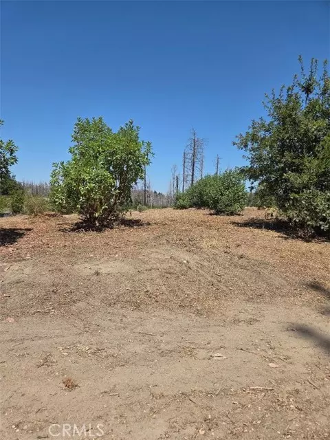 Berry Creek, CA 95916,1090 Bald Rock RD