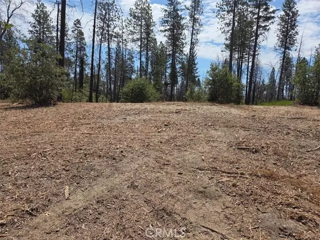 Berry Creek, CA 95916,1090 Bald Rock RD