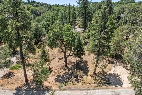 Lake Arrowhead, CA 92352,27115 Spring LN