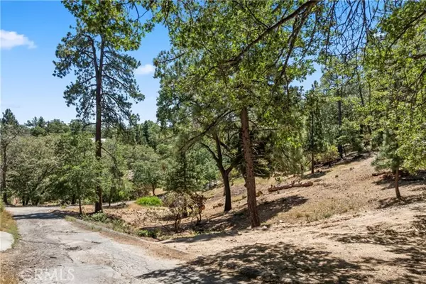 Lake Arrowhead, CA 92352,27115 Spring LN