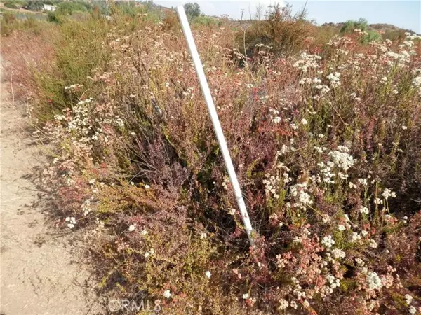 Wildomar, CA 92584,0 Olive ST