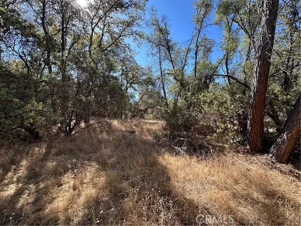 Mariposa, CA 95338,4275 Ashworth RD