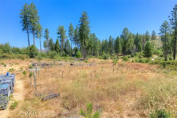 Concow, CA 94601,0 Yana TRL