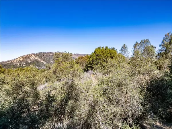 Ahwahnee, CA 93601,41902 Woodward WAY