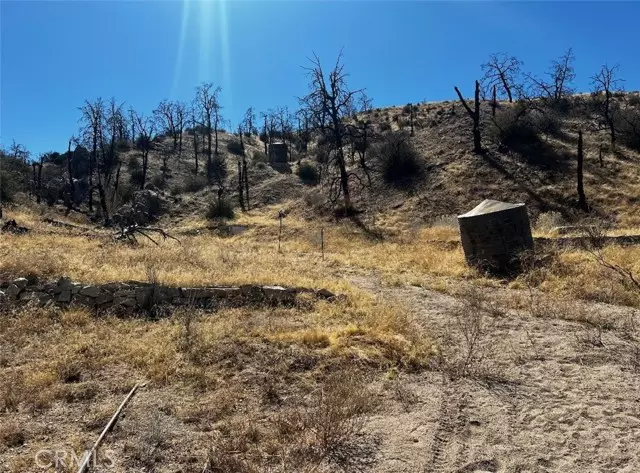 Llano, CA 93544,195 Ste/2 Min Bg