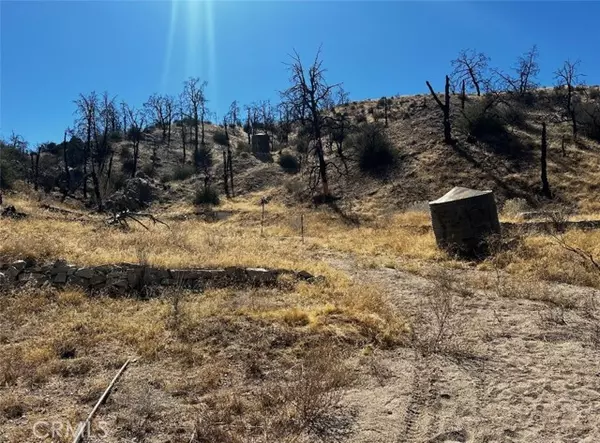 195 Ste/2 Min Bg, Llano, CA 93544