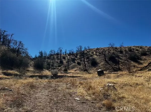 Llano, CA 93544,195 Ste/2 Min Bg