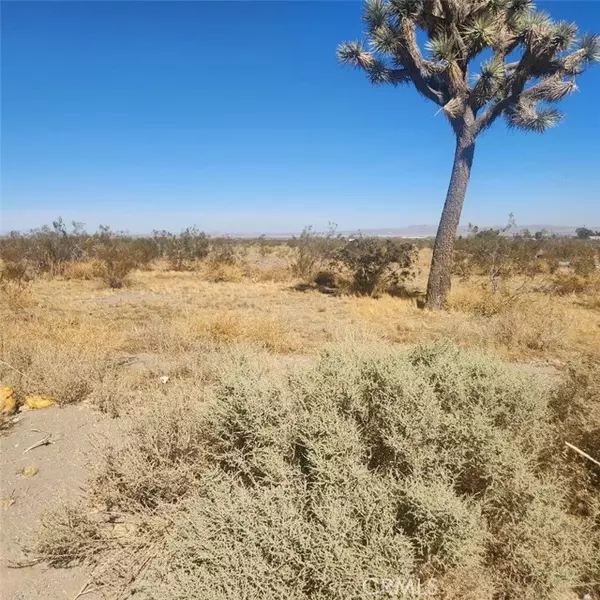 Pinon Hills, CA 92372,11 Palmdale RD