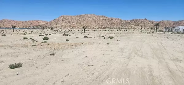 El Mirage, CA 92301,11 Chamisal