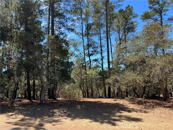 Cambria, CA 93428,1865 Dreydon AVE