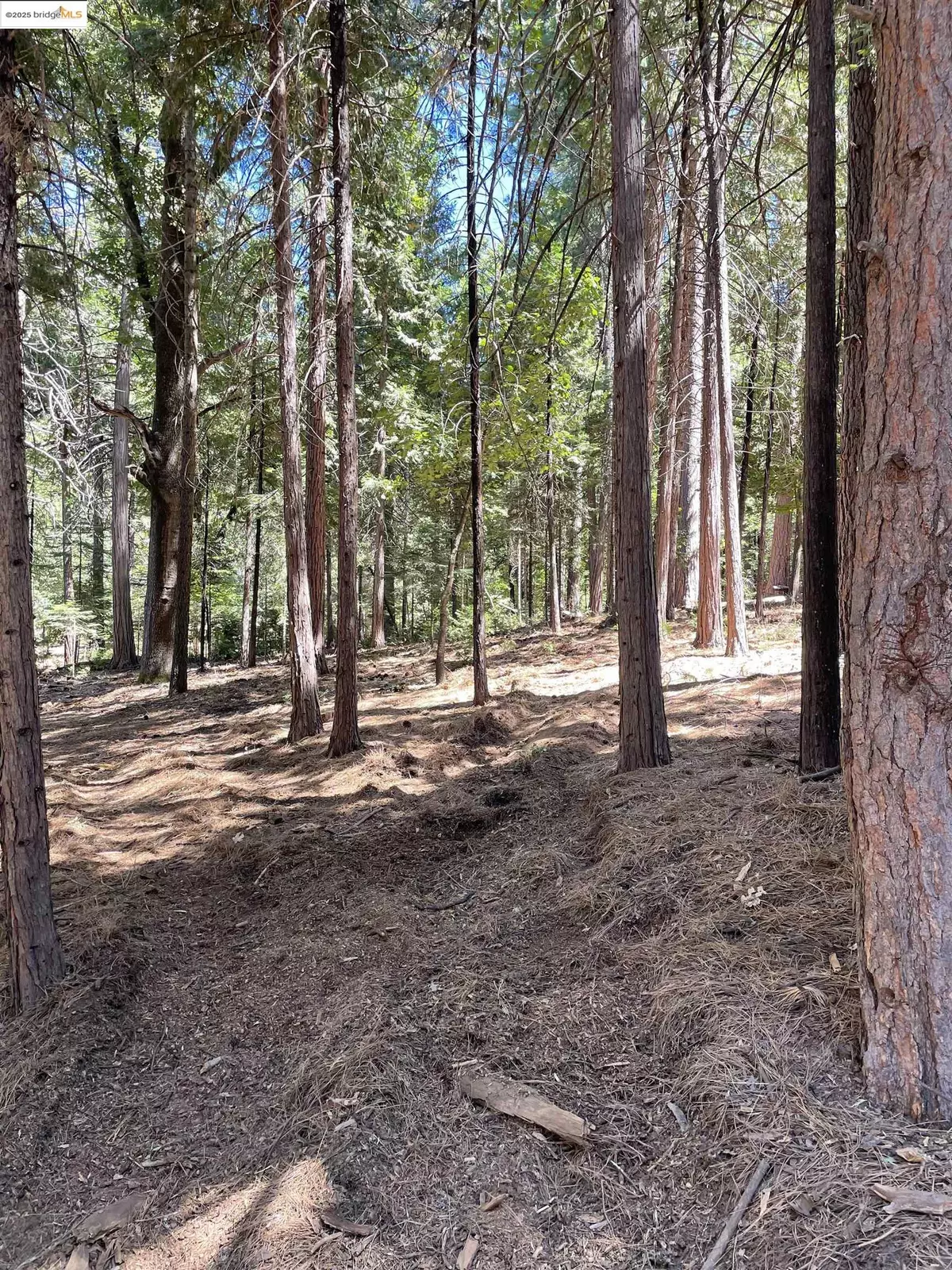 Twain Harte, CA 95383,23682 Buckeye CIR