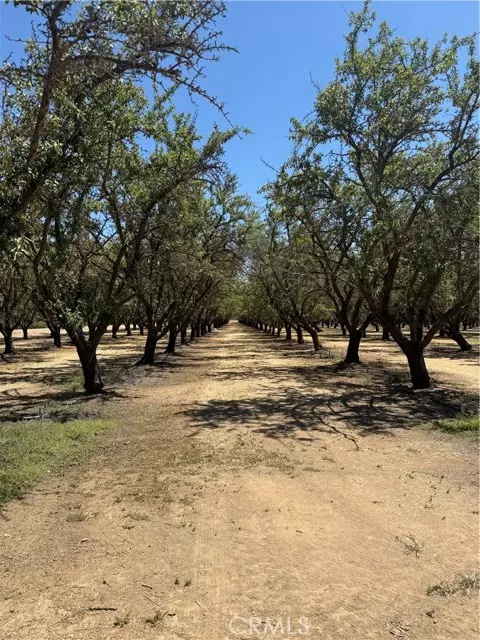 Orland, CA 95963,6260 County Road 25